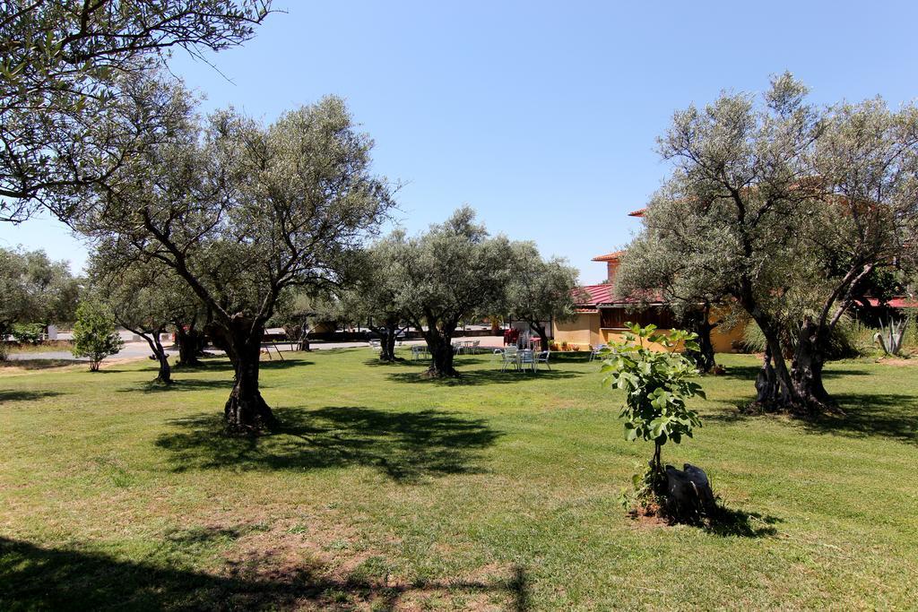 Hotel Rural Hojaranzos Tejeda de Tiétar Zewnętrze zdjęcie